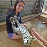 Bloemfontein - Cheetah Experience